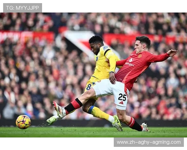 英超球队本土球员数量统计及发展趋势