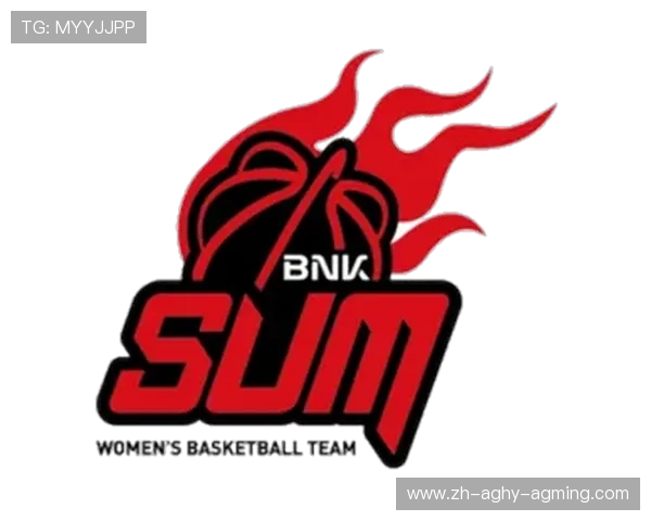 雨燕体育直播APP带你极速畅看NBA精彩赛事